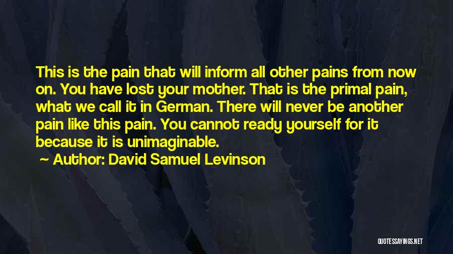 David Levinson Quotes By David Samuel Levinson