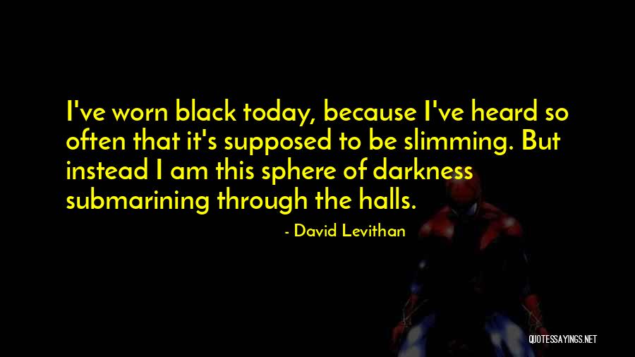 David Levithan Quotes 1027504