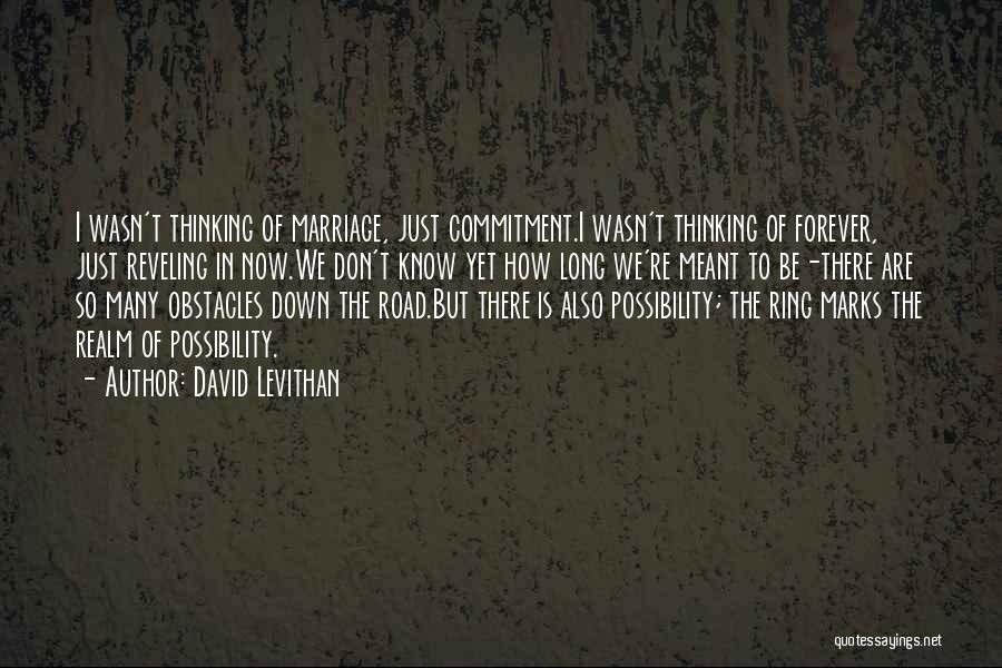 David Levithan Quotes 986049