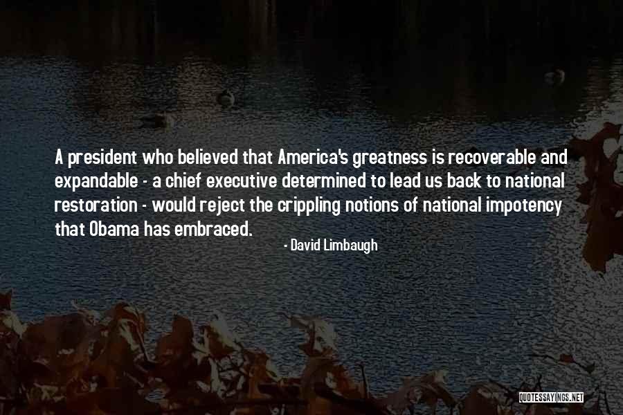 David Limbaugh Quotes 1497026