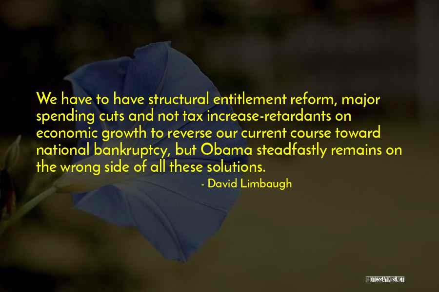 David Limbaugh Quotes 2086109