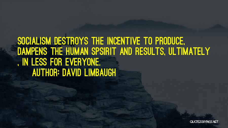 David Limbaugh Quotes 2212233