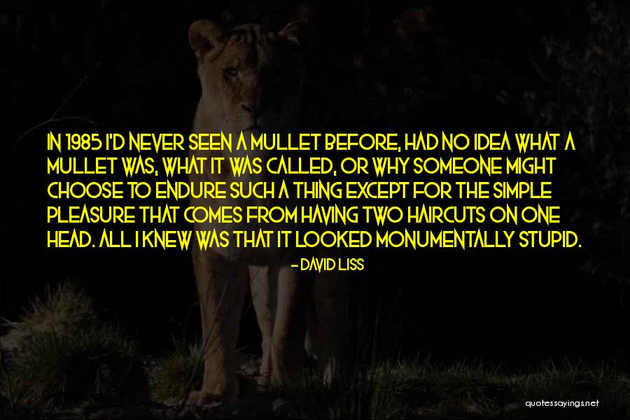 David Liss Quotes 2128976