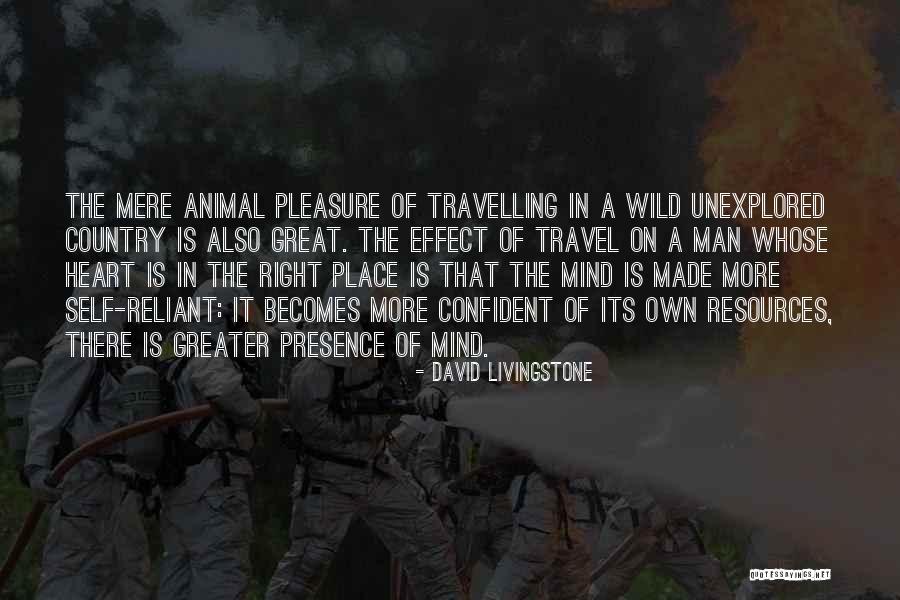 David Livingstone Quotes 1569544