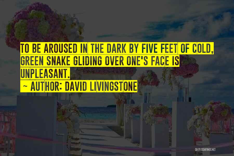 David Livingstone Quotes 1889251