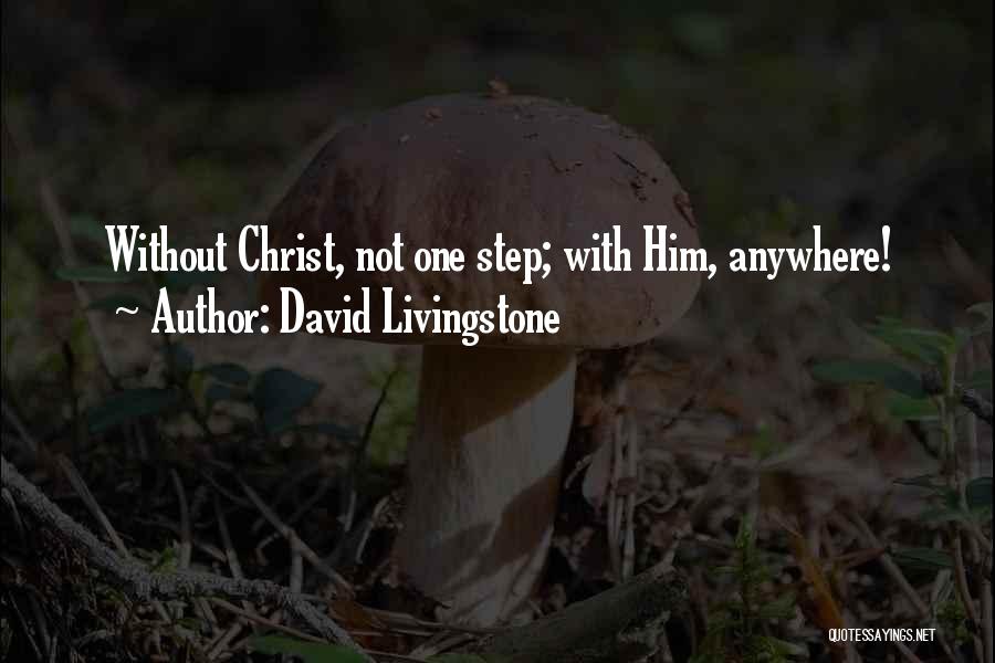 David Livingstone Quotes 213964