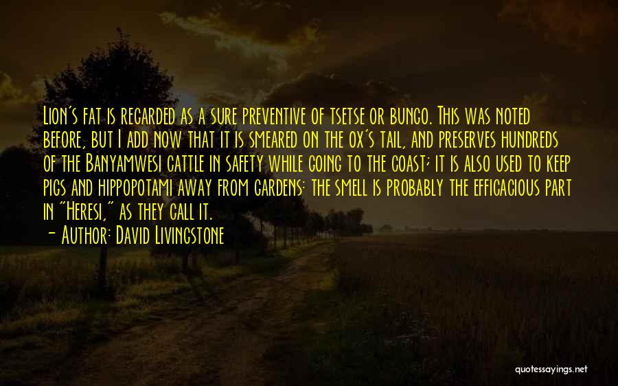 David Livingstone Quotes 2235683