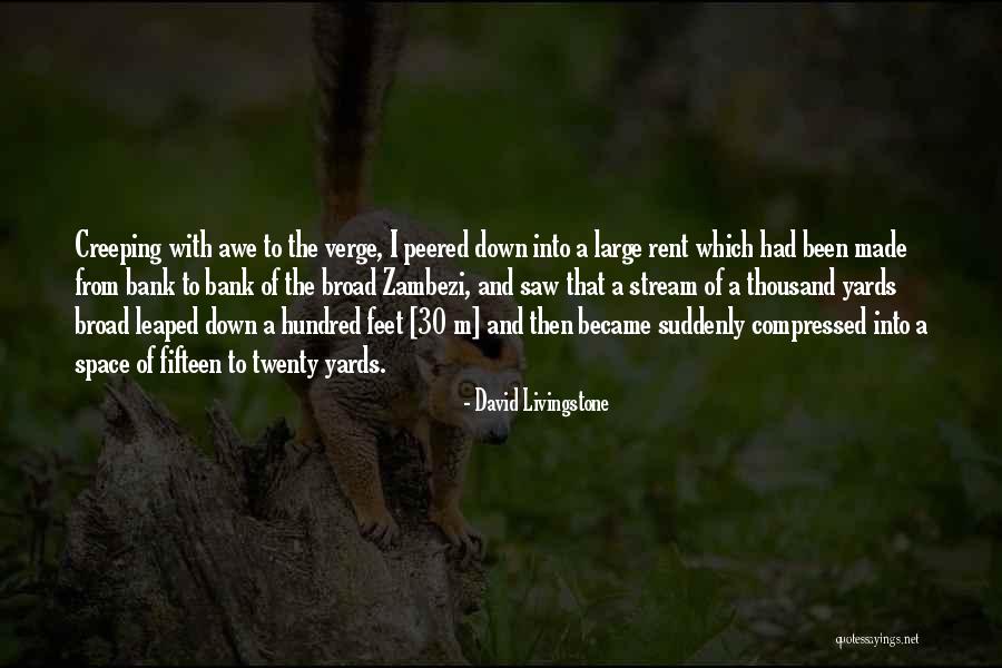 David Livingstone Quotes 84104