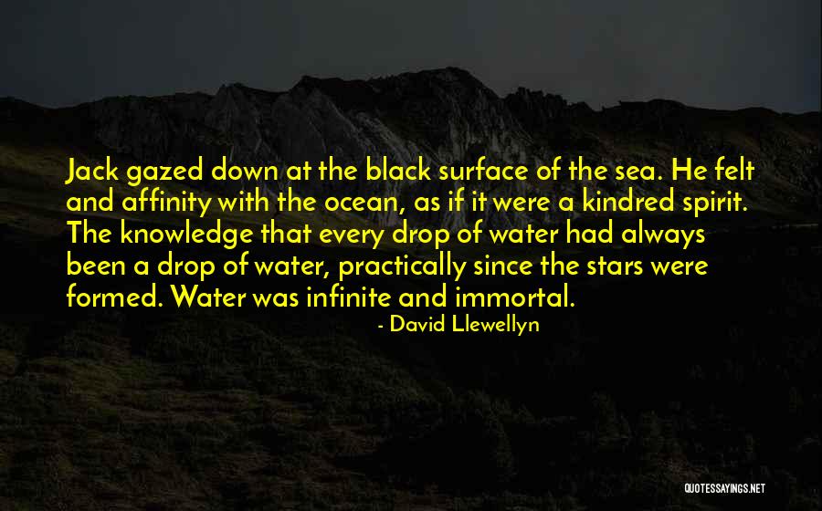 David Llewellyn Quotes 1209837