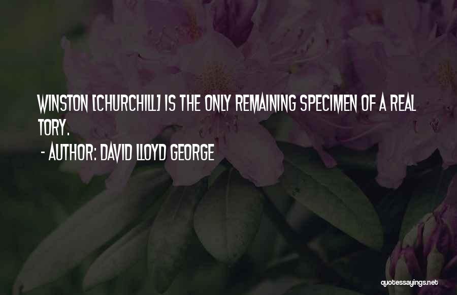 David Lloyd George Quotes 561720