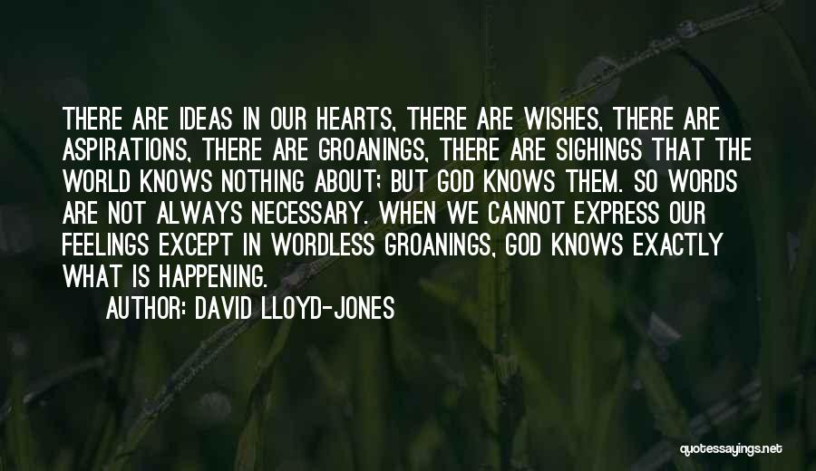 David Lloyd-Jones Quotes 523653
