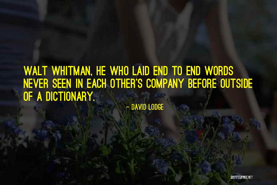 David Lodge Quotes 1561135