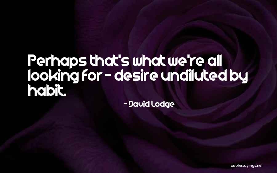 David Lodge Quotes 162762