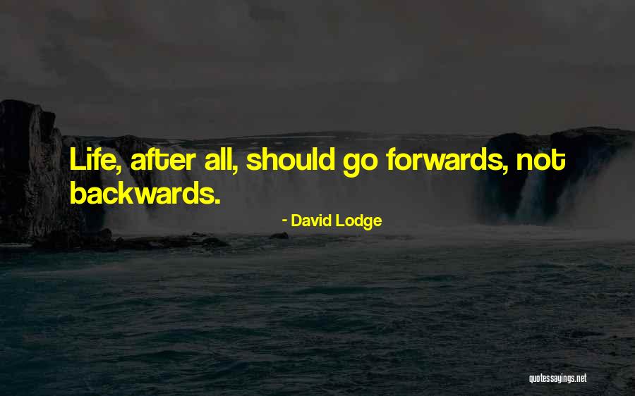 David Lodge Quotes 1977683