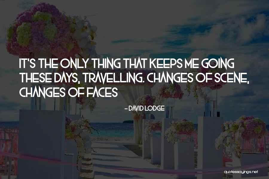 David Lodge Quotes 374350