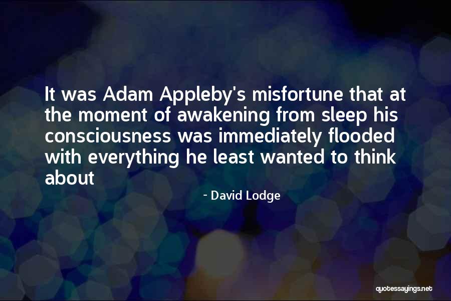 David Lodge Quotes 647082