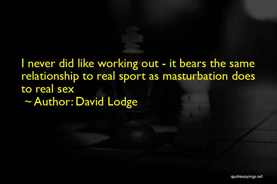 David Lodge Quotes 786537