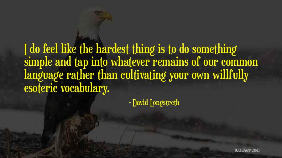 David Longstreth Quotes 1741862