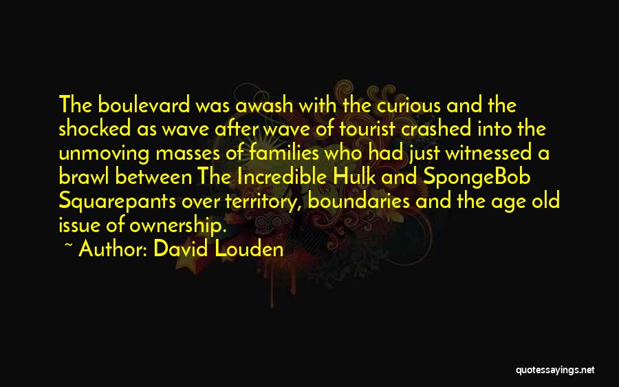 David Louden Quotes 1298078