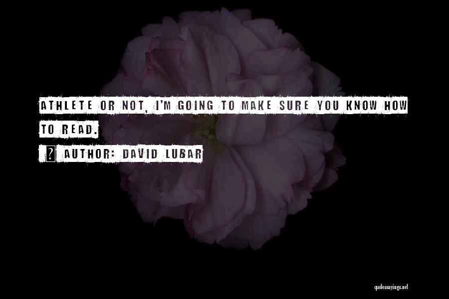 David Lubar Quotes 543969