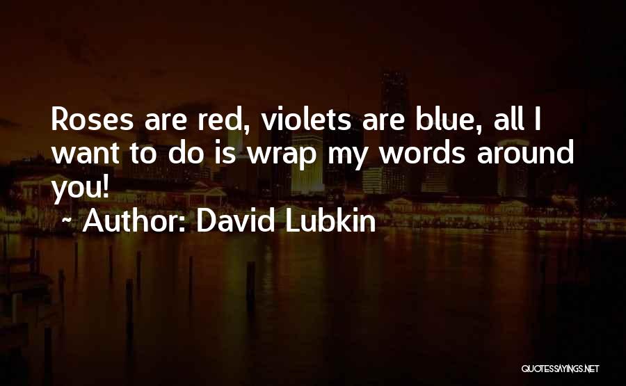 David Lubkin Quotes 790318