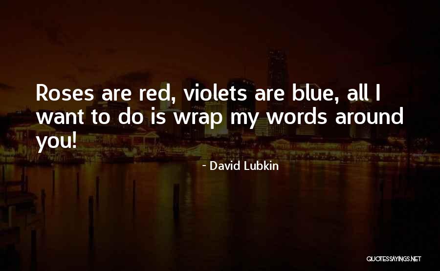 David Lubkin Quotes 790318 David Lubkin Quotes 790318