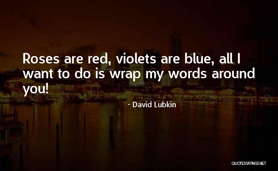 David Lubkin Quotes 790318