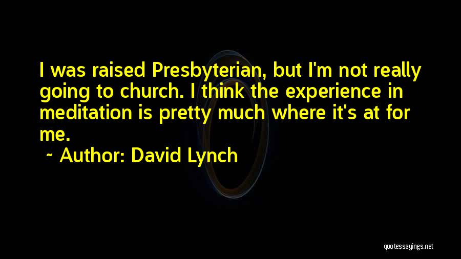 David Lynch Quotes 1066184