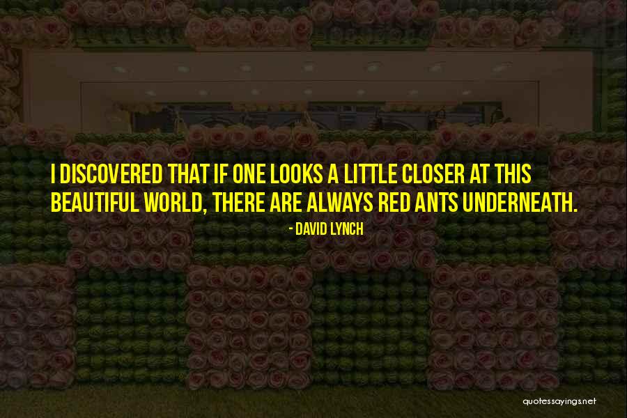 David Lynch Quotes 1134388 David Lynch Quotes 1134388