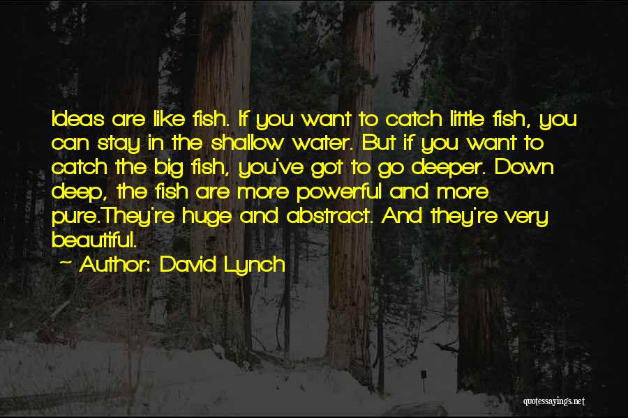 David Lynch Quotes 1135394