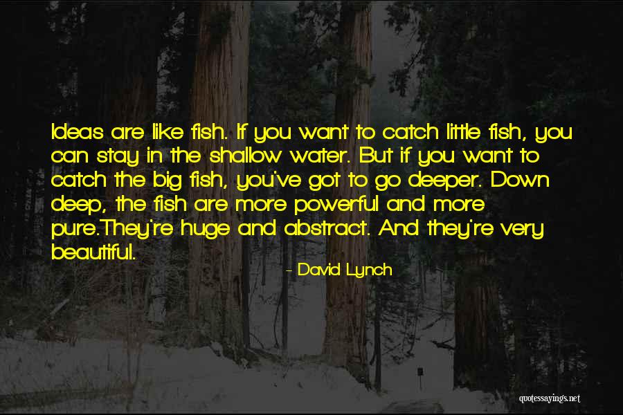 David Lynch Quotes 1135394