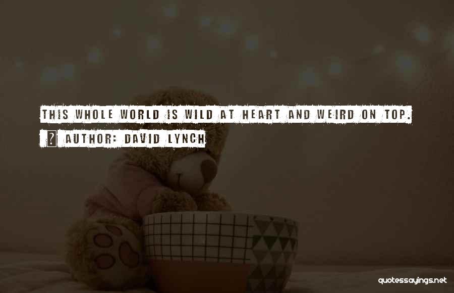 David Lynch Quotes 671667