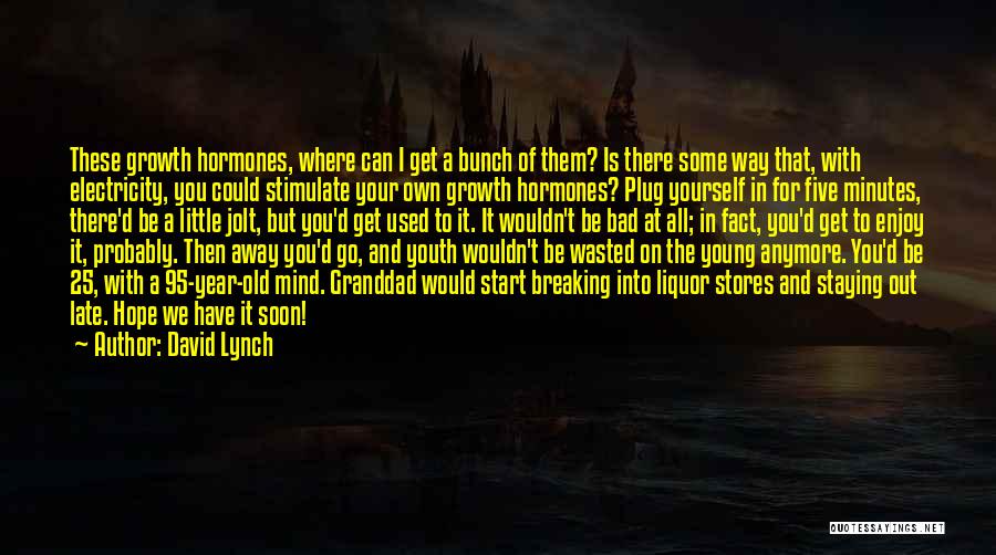 David Lynch Quotes 719600