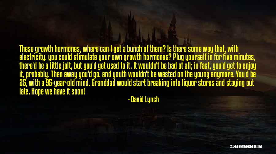 David Lynch Quotes 719600 David Lynch Quotes 719600