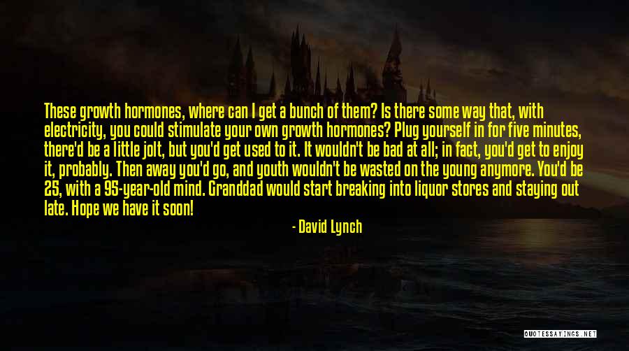 David Lynch Quotes 719600