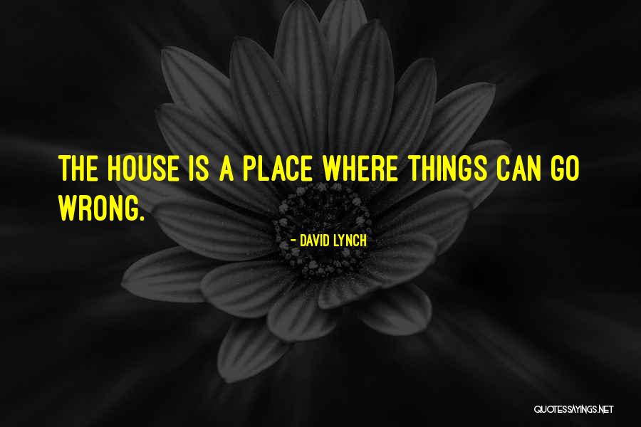 David Lynch Quotes 748212