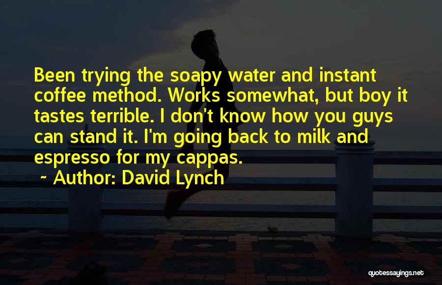 David Lynch Quotes 750570