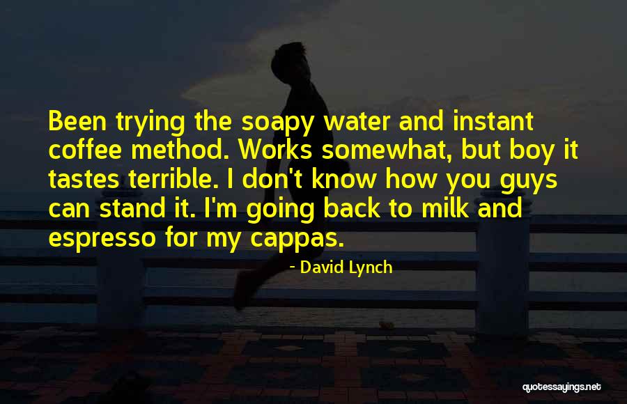 David Lynch Quotes 750570