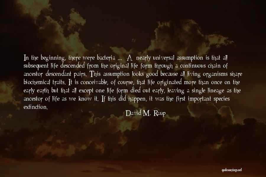David M. Raup Quotes 1919877 David M. Raup Quotes 1919877