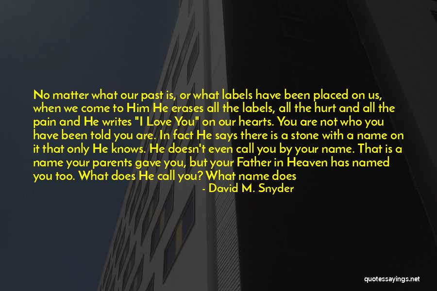 David M. Snyder Quotes 2010366 David M. Snyder Quotes 2010366