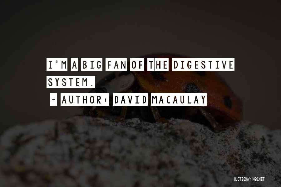 David Macaulay Quotes 1171854