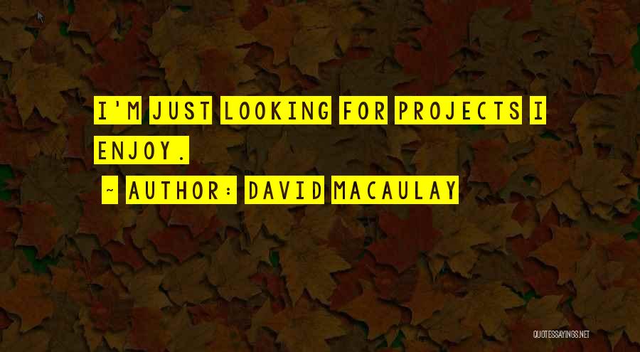 David Macaulay Quotes 940951