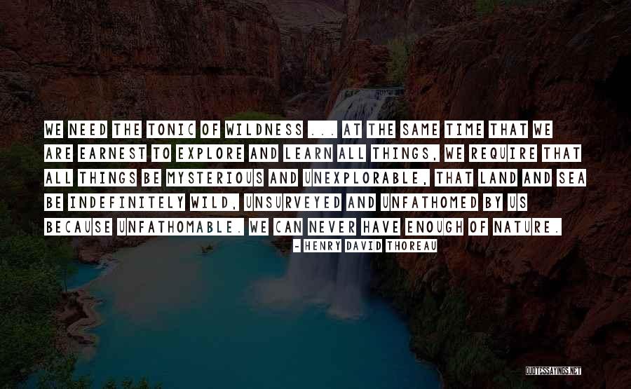 David Maisel Quotes By Henry David Thoreau David Maisel Quotes By Henry David Thoreau