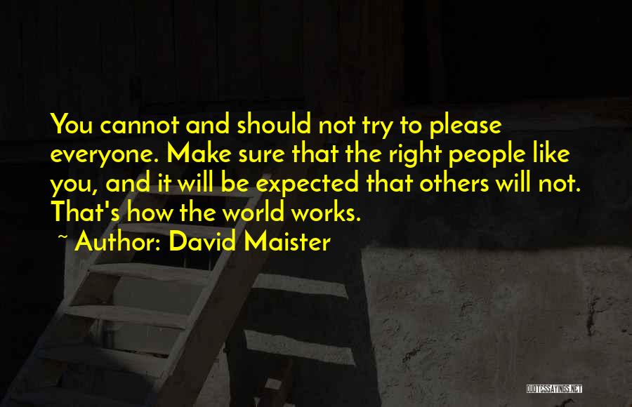 David Maister Quotes 1148955