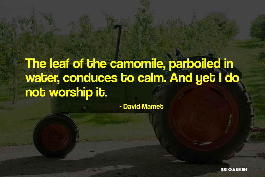 David Mamet Quotes 1978732 David Mamet Quotes 1978732