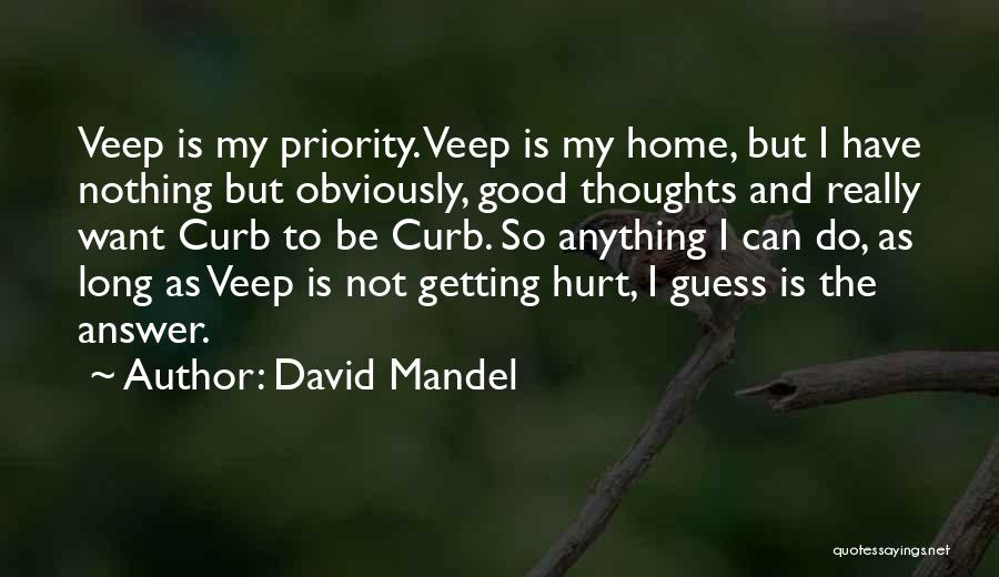 David Mandel Quotes 753450