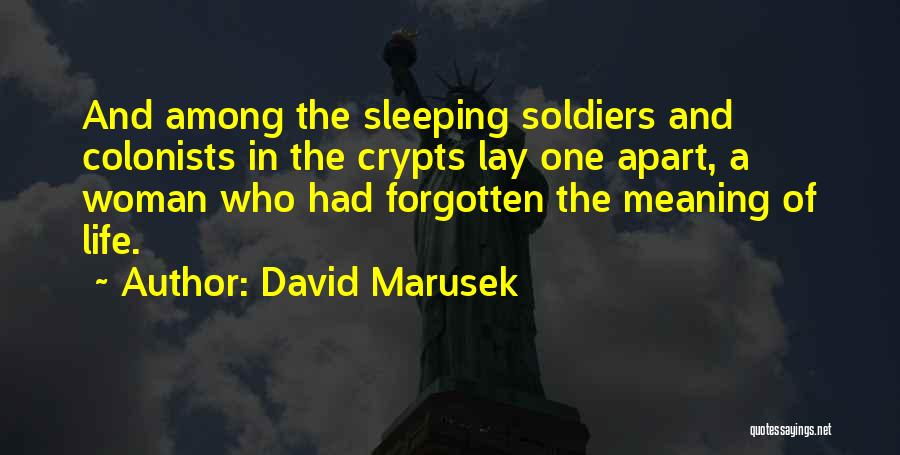 David Marusek Quotes 1896617