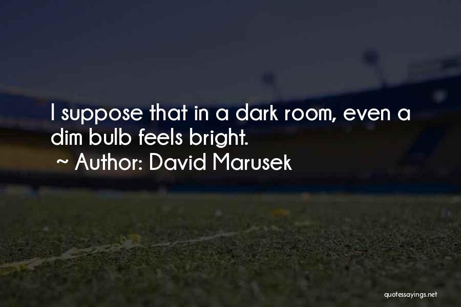 David Marusek Quotes 1914458