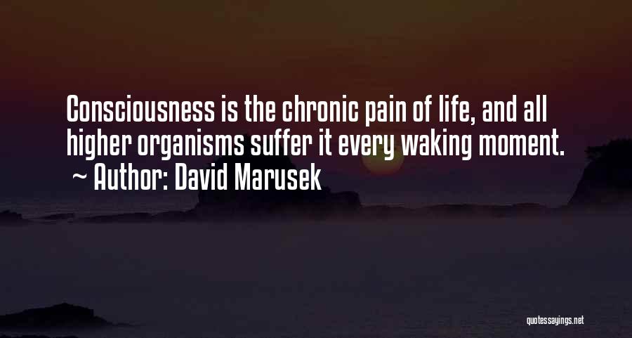 David Marusek Quotes 567626