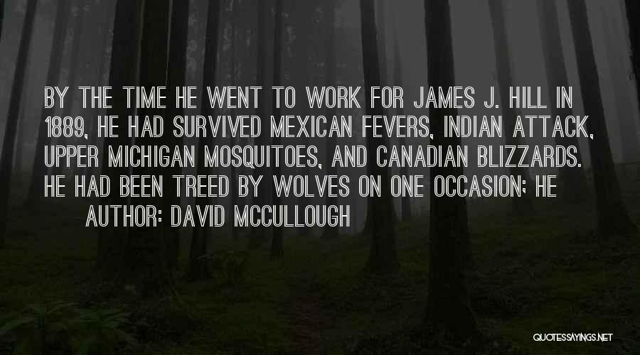 David McCullough Quotes 840555